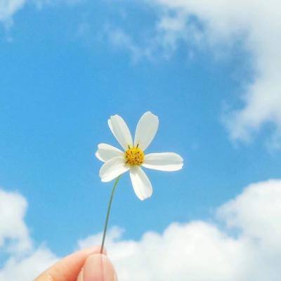 美国抵押贷款利率飙升至五个月高点 凸显战争的经济影响扩大