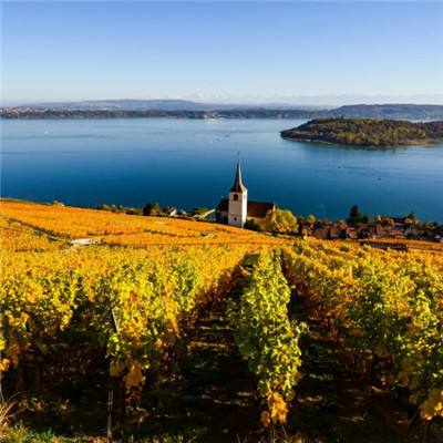 华北工控EMB-3513:支持医院电子...