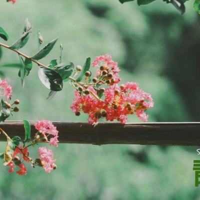 冲突进入第26天，伊朗核电站再遭袭，特朗普又称美伊谈判中