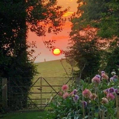 特朗普又TACO了，反转？反弹？