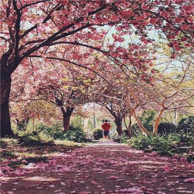 益生股份董事长号召员工增持 夫人减持套现1.4亿