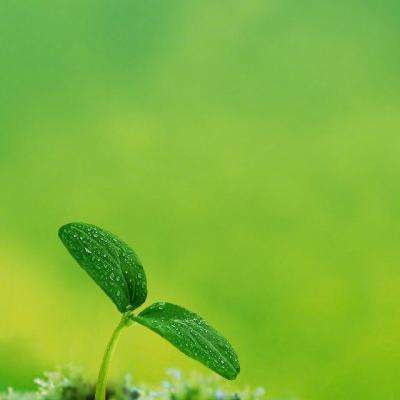 曼德海峡、霍尔木兹海峡，突发大消息！伊朗军方：正在搜捕美军！油价拉升，韩国股市跳水...