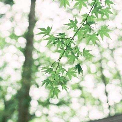 4438亚洲app娱乐手机版官网全新版