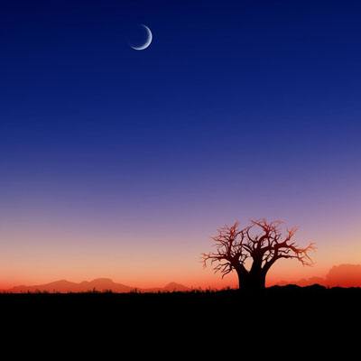 国际油价25日下跌