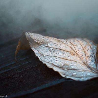 无人艇编队实战化演练画面首次披露