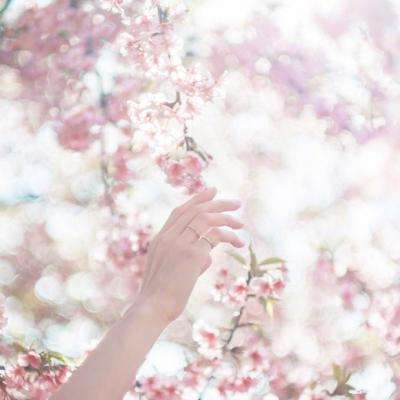 小S全家为其提前庆生 和老公依偎在一起太甜了